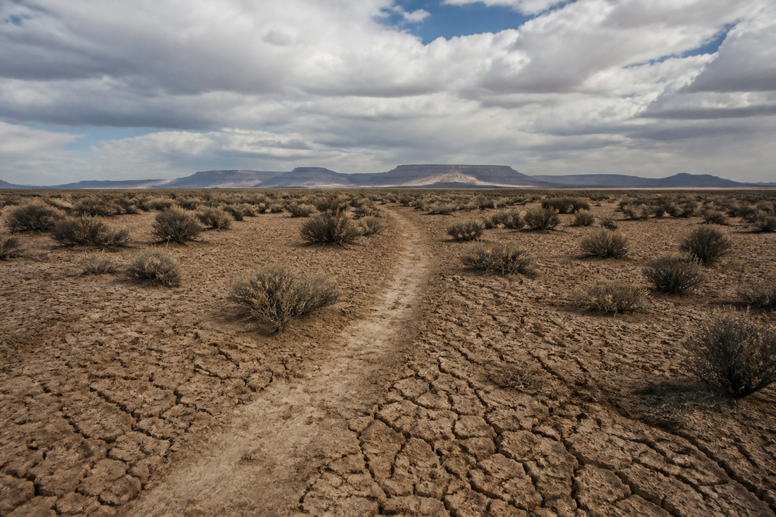 The Long Walk, 1864: What Happened at Bosque Redondo