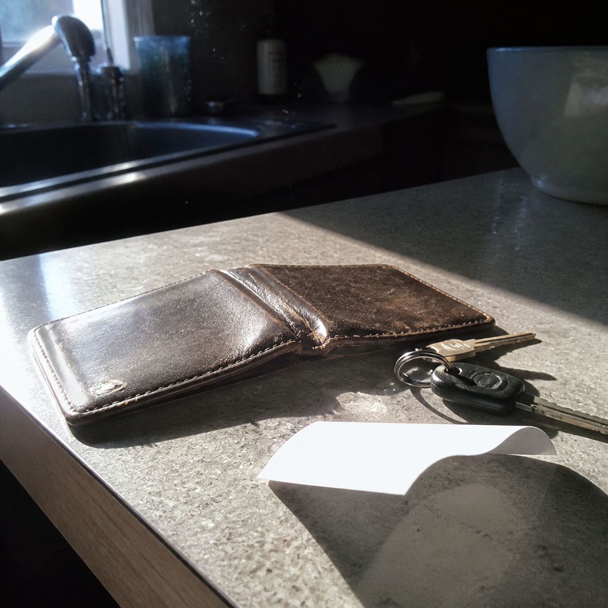 Americanista — wallet