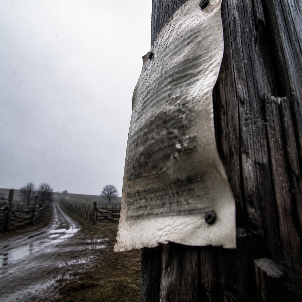 Trail of Tears documentary image — cca8pr