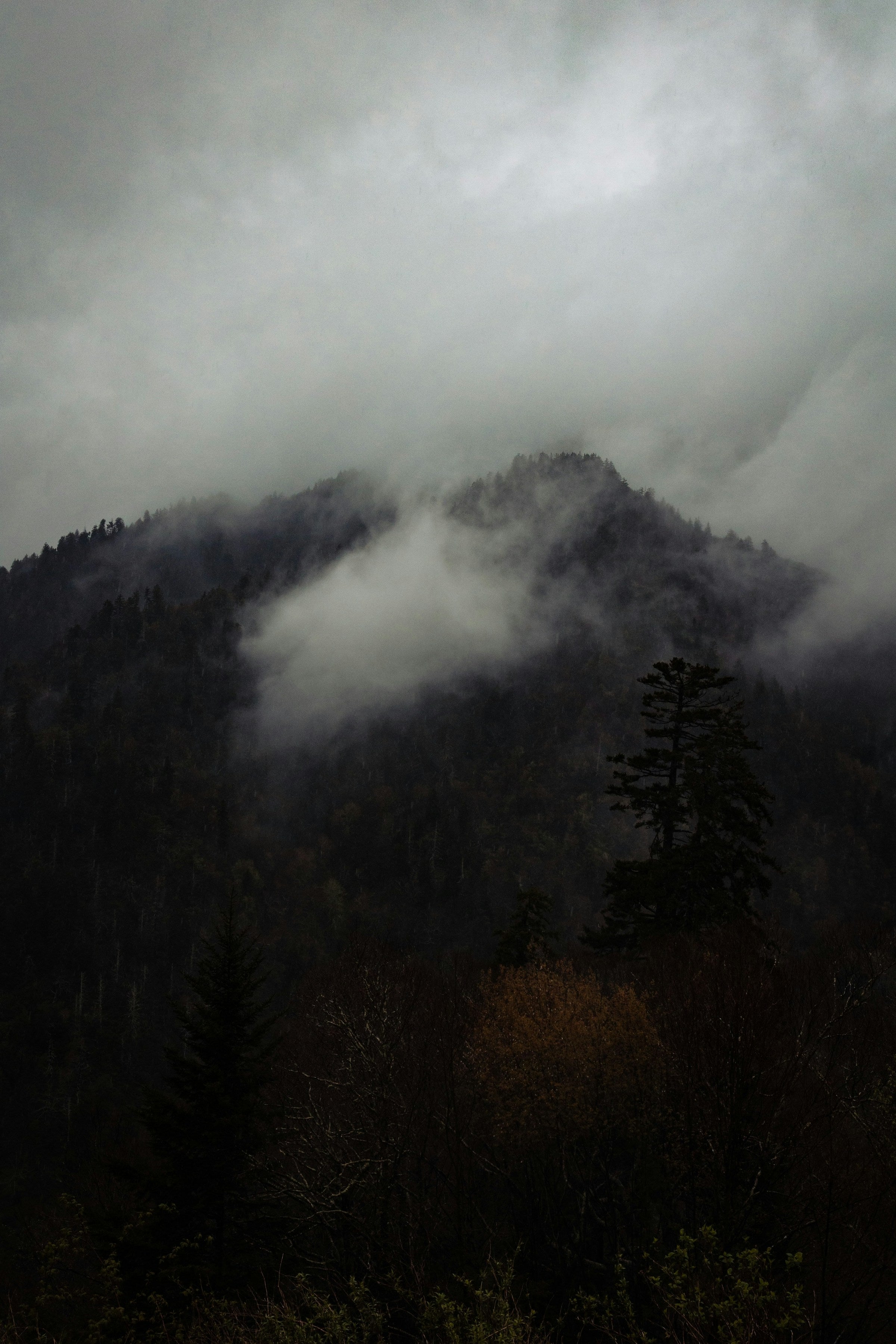 Misty mountain ridge in clouds — Trail of Tears Smoky Mountain heritage landscape